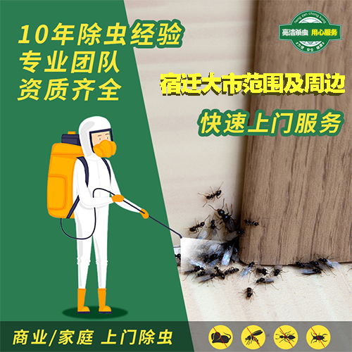 宿遷殺蟲公司專業(yè)服務(wù)